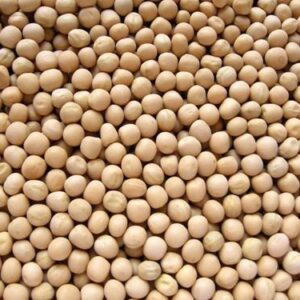 white-pea White Peas (Motoro) (Whole) by GroceryLogistics (1 kg)