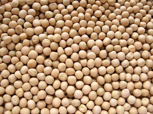 White Peas (Motoro) (Whole) by GroceryLogistics  (1 kg)